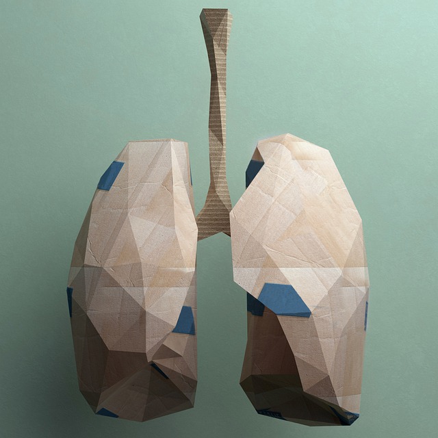 La fisioterapia respiratoria ayuda a dejar de fumar - Uppers